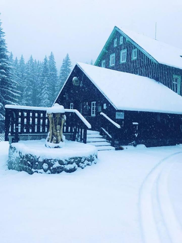 Chata - Sport - Ski Kořenov Exterior foto